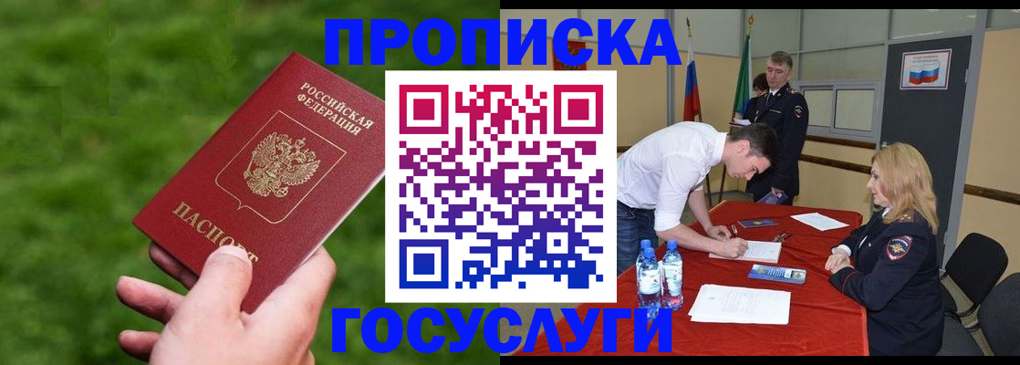 где прописаться в Коле